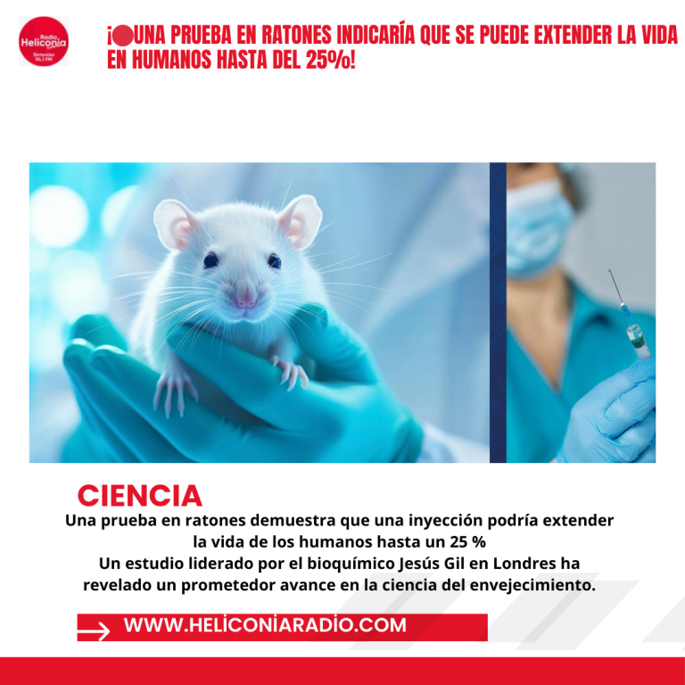 Publicación de Instagram de texto de noticias minimalista gris (8)