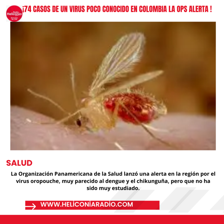 Publicación de Instagram de texto de noticias minimalista gris (5)