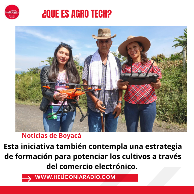 Publicación de Instagram de texto de noticias minimalista gris (6)