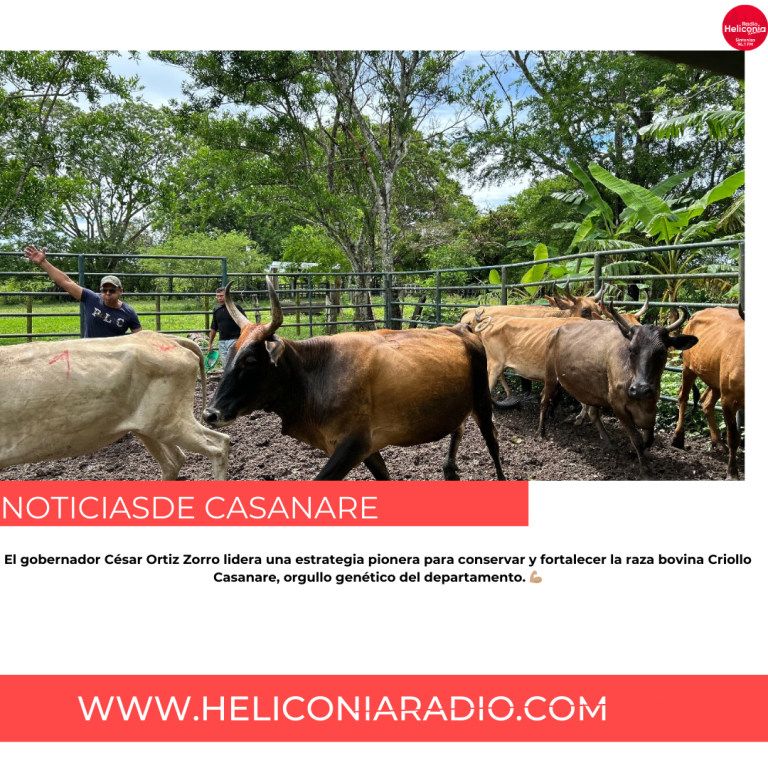 Negra Y Roja Noticias De última Hora Publicación de Instagram (27)