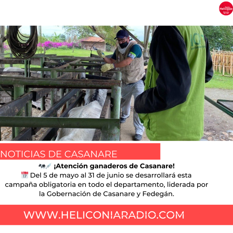 Negra Y Roja Noticias De última Hora Publicación de Instagram (29)