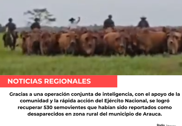 Negra Y Roja Noticias De última Hora Publicación de Instagram - 2025-07-17T231559.341