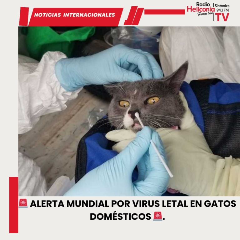 Red and Blue Modern Breaking News Instagram Post - 2026-01-26T220513.711