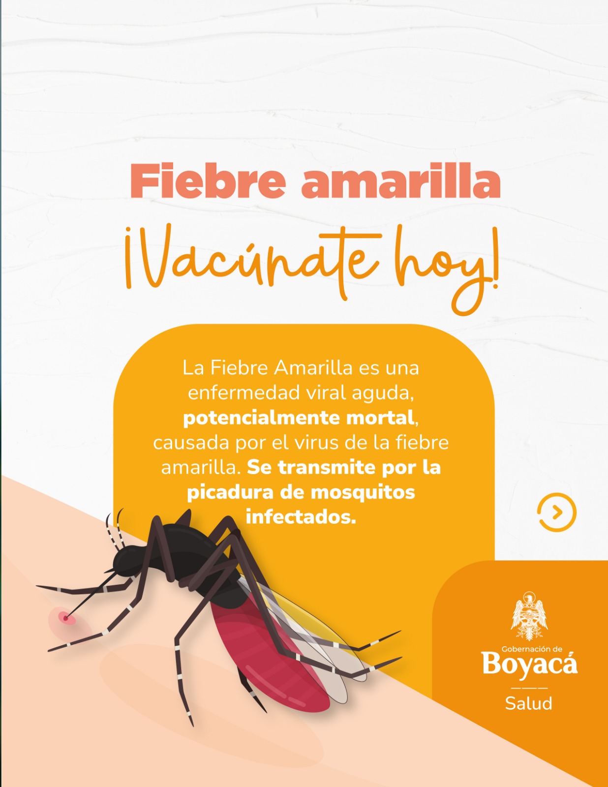 WhatsApp Image 2026-03-18 at 9.55.06 PM